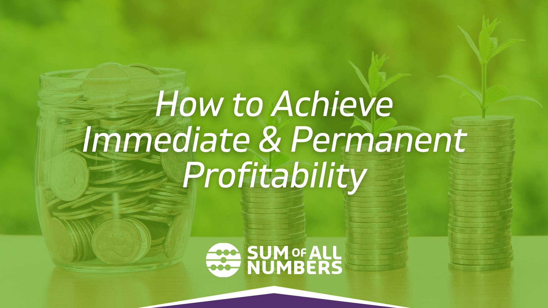 How to Achieve Immediate & Permanent Profitability